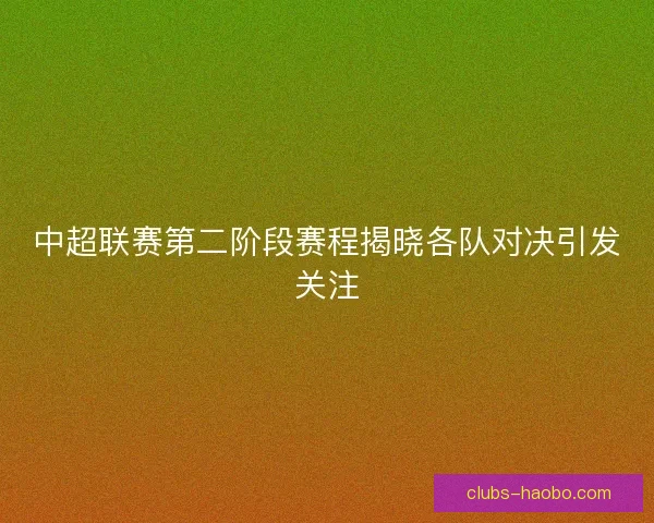 中超联赛第二阶段赛程揭晓各队对决引发关注